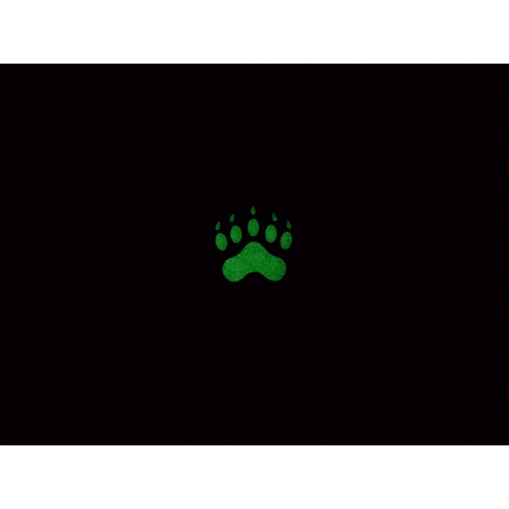 Impronta Orso - GITD