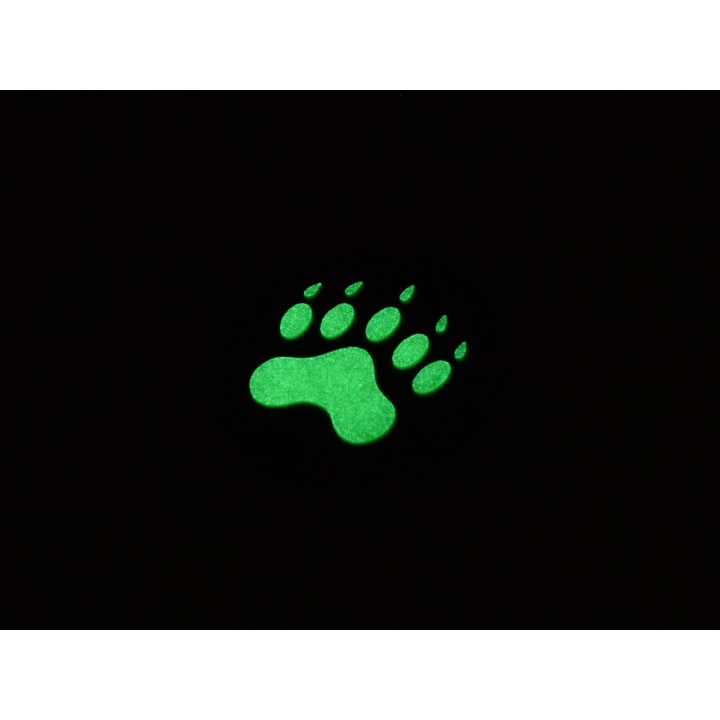 Impronta Orso - GITD
