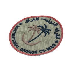 Polish Multinational Division Central-South Iraq 2