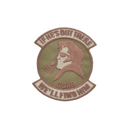 PJ Elvis Combat search and rescue