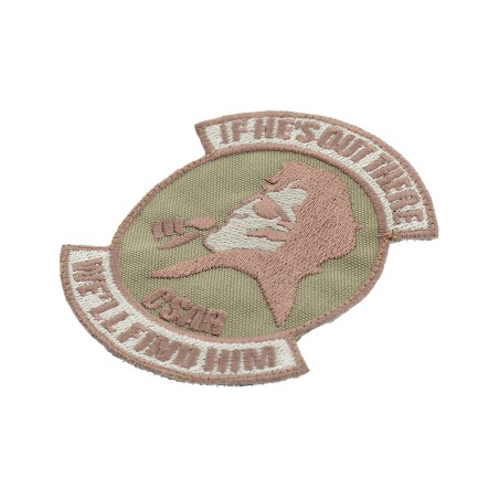 PJ Elvis Combat search and rescue