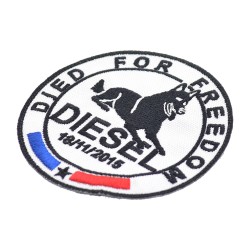 RAID Diesel Died for Freedom 2