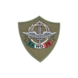 4° Reggimento Alpini Paracadutisti Monte Cervino Ranger