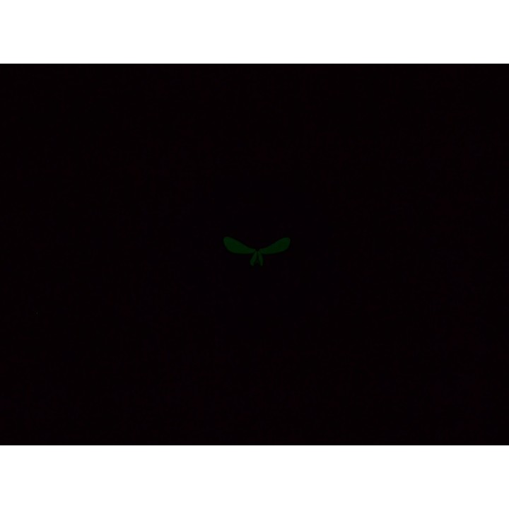 God Will Judge Our Enemies