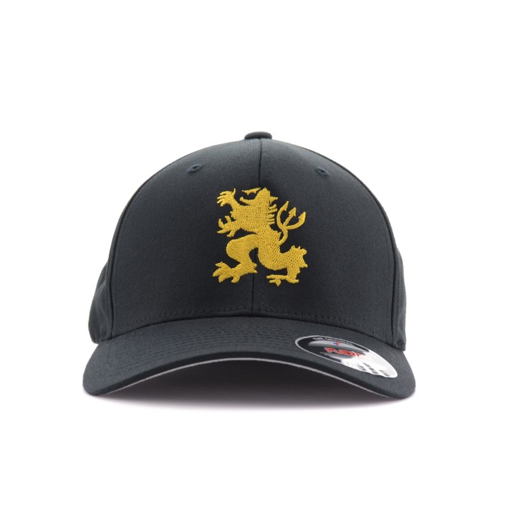 LA PATCHERIA: Flexfit® DEVGRU GOLD SQUADRON LION